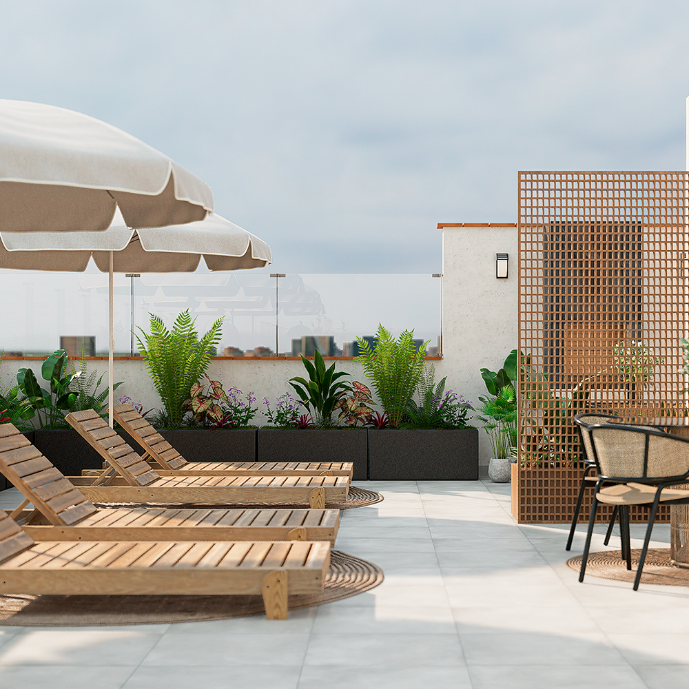 Terraza